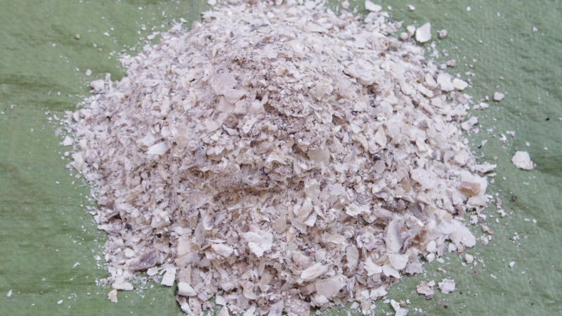 牡蠣殻を使用した有機肥料作りに挑戦 Veraniwa
